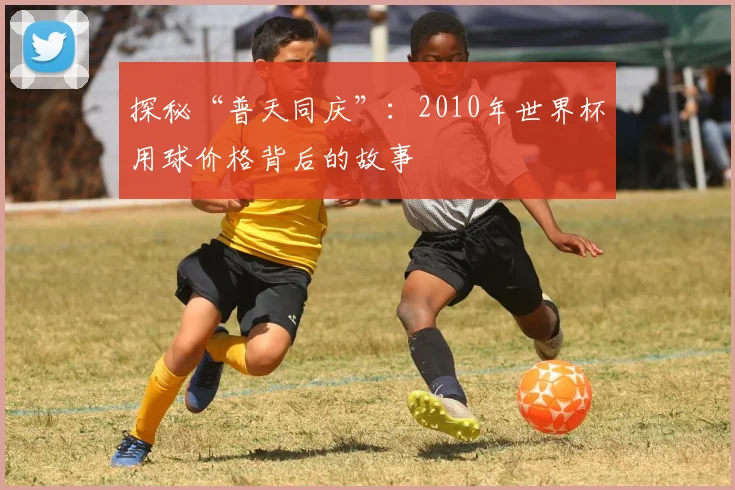 探秘“普天同庆”：2010年世界杯用球价格背后的故事