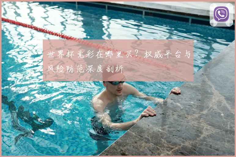 世界杯竞彩在哪里买？权威平台与风险防范深度剖析