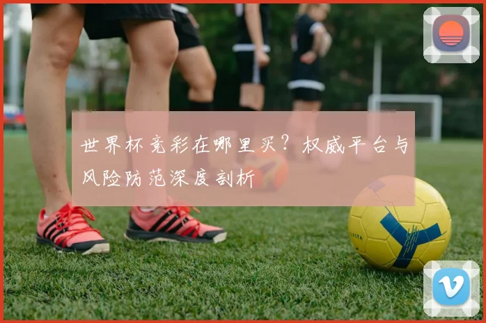 世界杯竞彩在哪里买？权威平台与风险防范深度剖析
