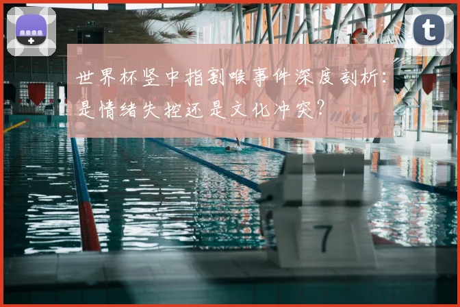 世界杯竖中指割喉事件深度剖析：是情绪失控还是文化冲突？